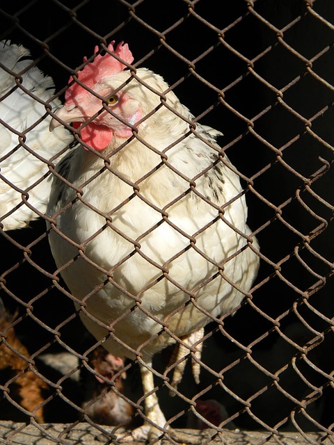 他曾在不同 他曾在不同