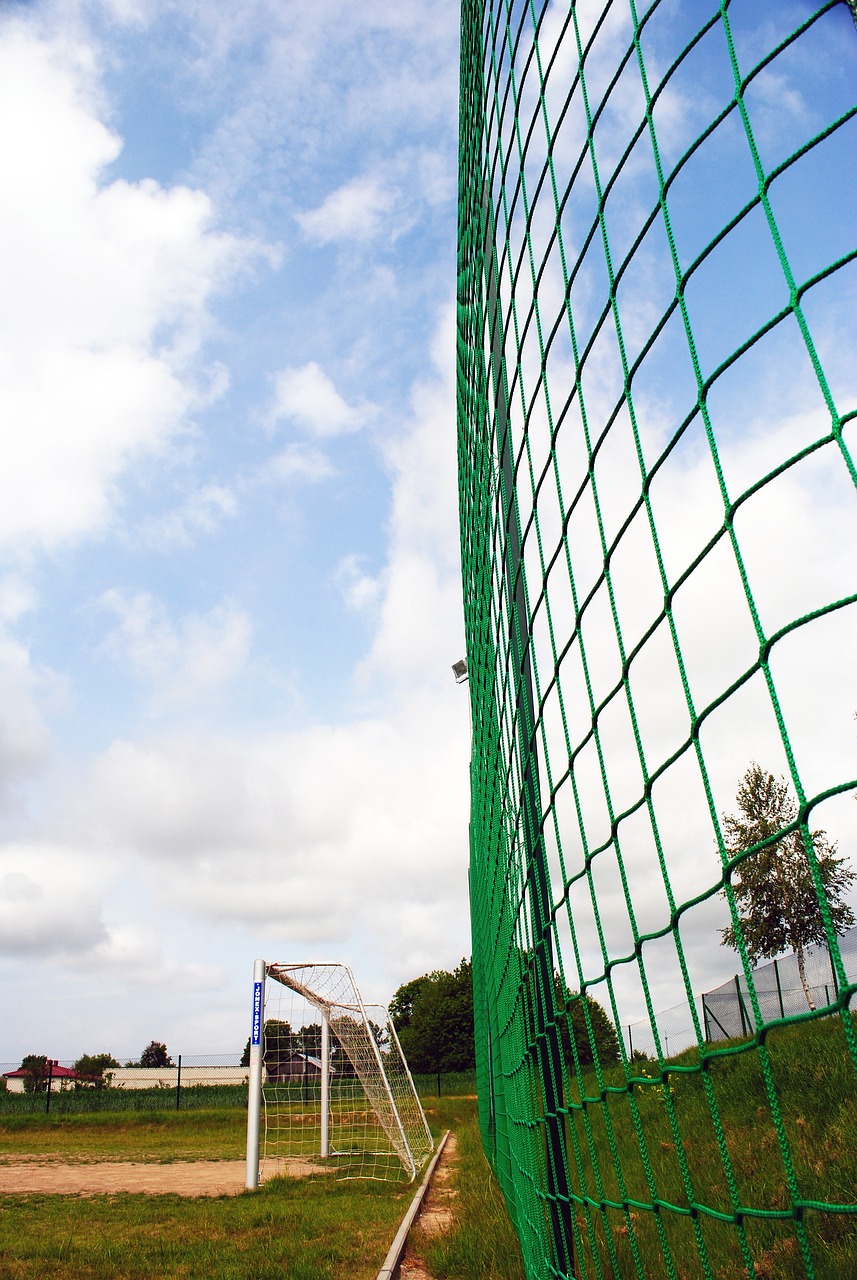 的高超功力 的高超功力