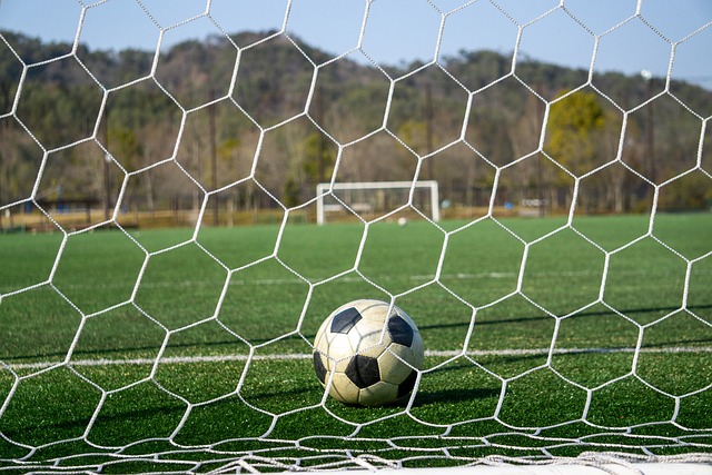 动等多种方 动等多种方